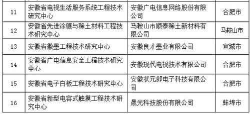 安徽13家省工程技術(shù)研究中心整改未通過被取消資格