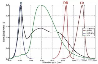 植物照明封裝廠技術(shù)及產(chǎn)品研究現(xiàn)狀分析